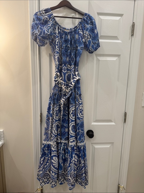 FARM Rio Dresses & Skirts - FARM Rio Blue and White Floral Maxi Dress